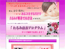 Tablet Screenshot of antiag-tarumi.com